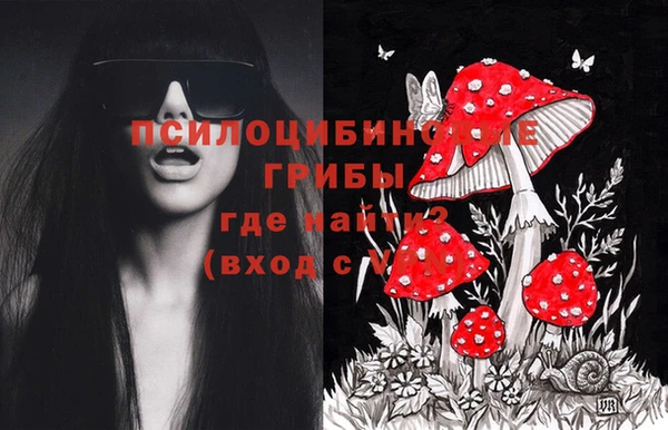 Альфа ПВП Аркадак