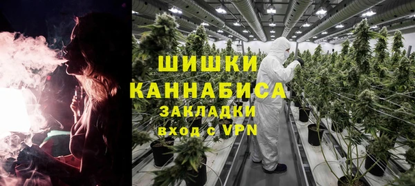 Альфа ПВП Аркадак