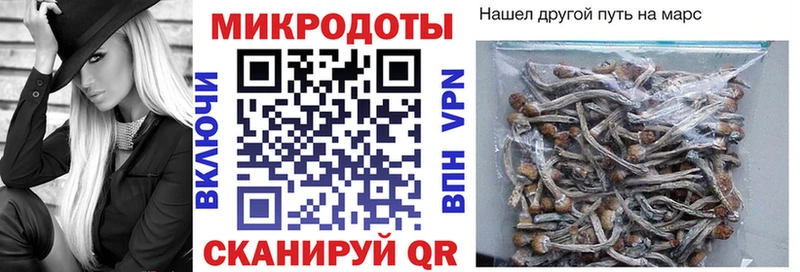 ссылка на мегу ССЫЛКА  shop формула  Галлюциногенные грибы GOLDEN TEACHER  Среднеколымск 